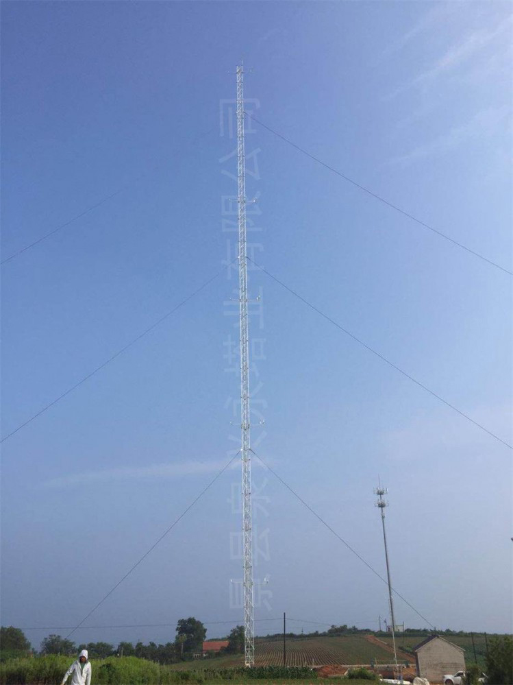遼寧莊河市核電項目氣象鐵塔及10米風(fēng)桿建設(shè)項目